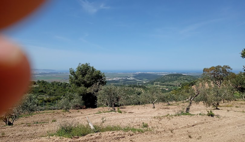 قرية شعب المهجرة  / عكا